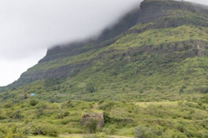 Untitled design (11)