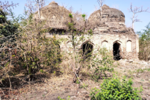 Untitled design (12)